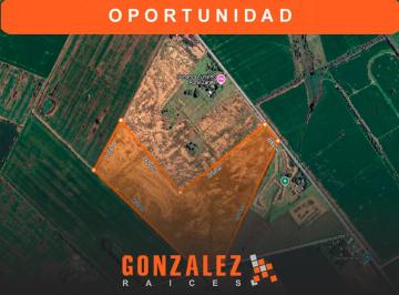 Campo · 40ha · Campo en Zárate - 40 Hectáreas