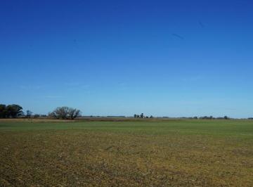 Campo , Saladillo · 110 Ha Agricola Ganaderas en Saladillo