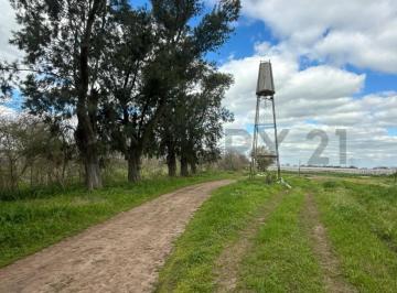 Terreno · 100m² · Venta de 5 Hectares Agricolas