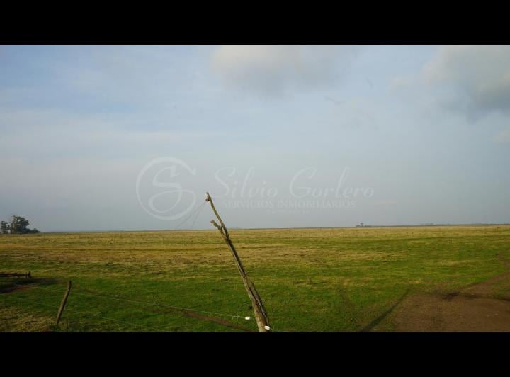 Campo · 310m²