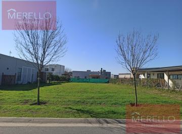 Terreno · 479m² · Terreno en Santo Tomas Pilar Lote 26