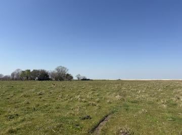 Campo · 100000ha · Campo en Venta 100 Hectáreas