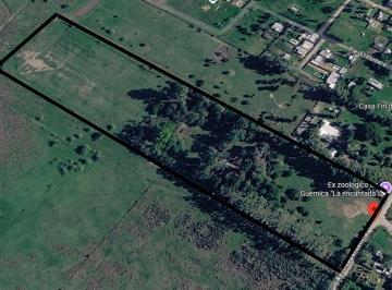 Campo · 5ha · Venta Campo 4,5 Ha en San Vicente