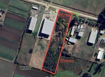 Terreno · 10000m² · Se Vende Hectarea Sobre Ruta 5. con Financiacion