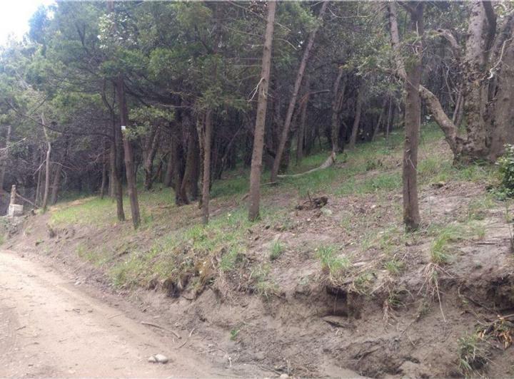 Terreno · 8335m²