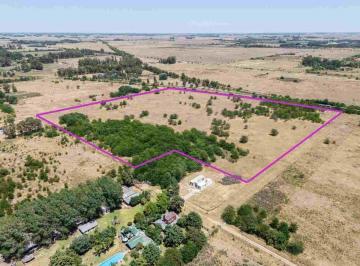 Campo · 1ha · Chacra de 1 Hectarea en Venta en Cañuelas