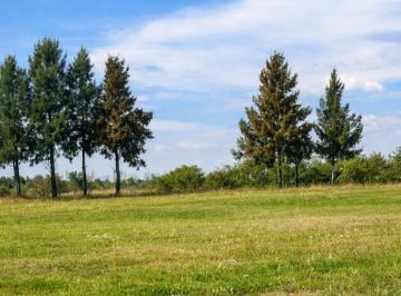 Terreno · 780m² · Terreno Venta Barrio Cerrado Belleville Mte Grande