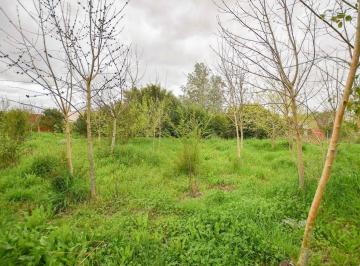 Terreno · 738m² · Terreno en Venta La Plata