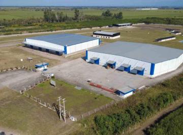 Bodega-Galpón · 10000m² · Galpon en Alquiler San Andres 10.000 m²