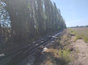 Terreno · 4000m² · Calle Los Pinos Gran Inversión!