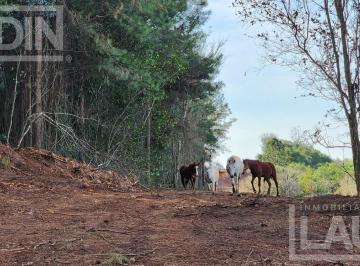 Terreno · 70ha · 70 Ha en Venta Candelaria Zona Reserva Natural Urutau
