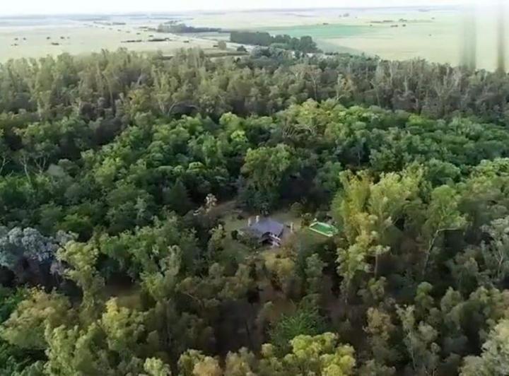 Campo · 900m²