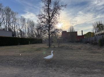 Terreno · 1000m² · Terreno en Barrio Privado Plottier
