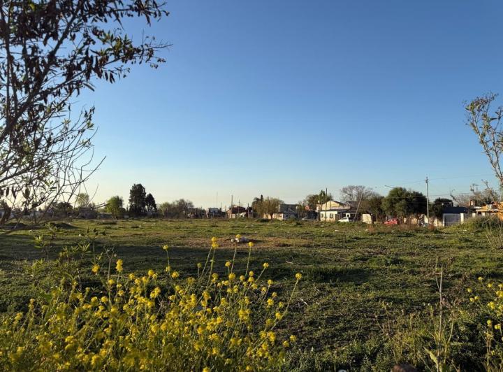 Terreno · 32000m²