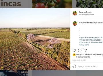 Campo , Colonia Santa Rosa · Finca en Venta – Colonia Santa Rosa – de 14 a 28 Ha – U$s 15.000 / Ha