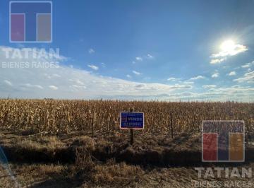 Terreno · 50ha · Campo de 50 Hectáreas Ubicado en La Zona Rural de Costa Sacate, Córdoba.