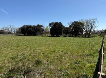 Campo · 12000m² · 1 Ambiente · Chacra en Venta en Manzanares, Pilar, Prov. de Bs As.