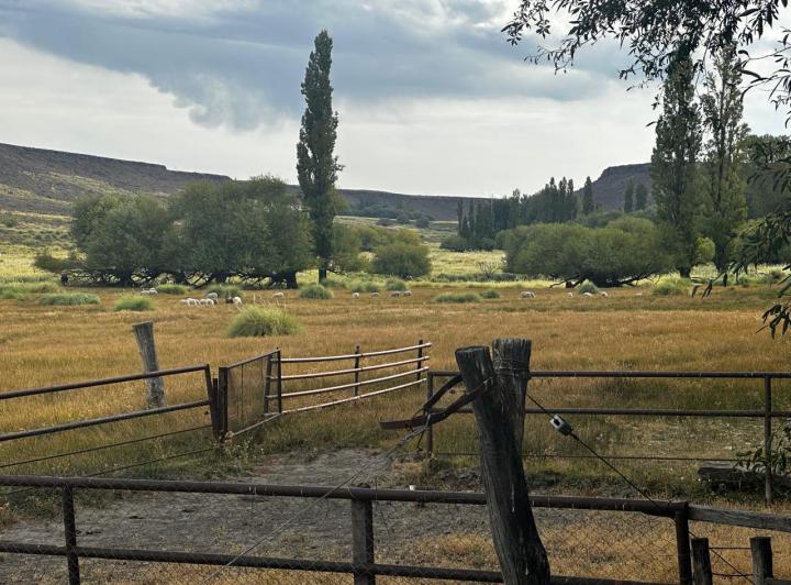 Campo · 755ha