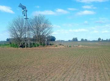Terreno , Azul · Campo Agrícola 45 Hectáreas en Venta | Azul - Buenos Aires