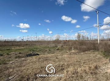 Terreno · 300m² · Terreno Loteo Allen