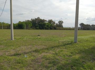 MIG-MIG-5348_2 · Lote. | Boulevard Panama