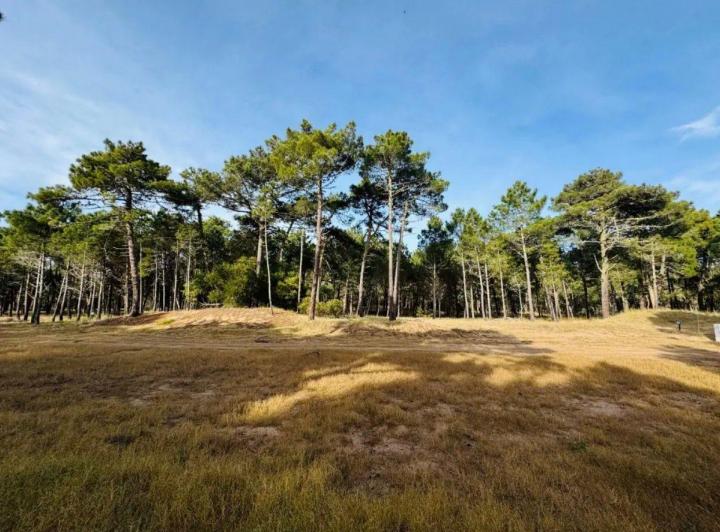 Terreno · 1016m²
