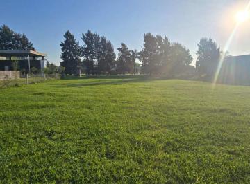 Terreno · 1000m² · Lote en Venta Barrio Histórico La Magdalena