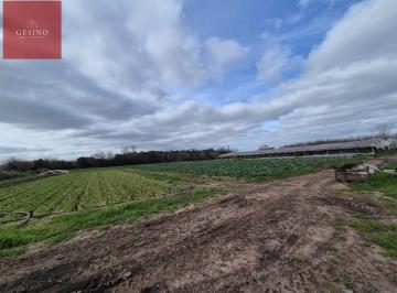Campo · 39838m² · 1 Ambiente · Campo de 3.8 Hectáreas con Galpón
