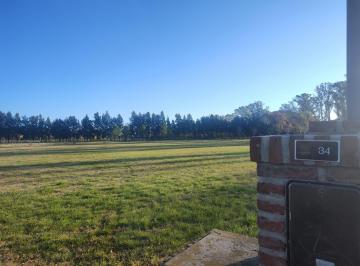 Terreno · Terreno en La Asuncion