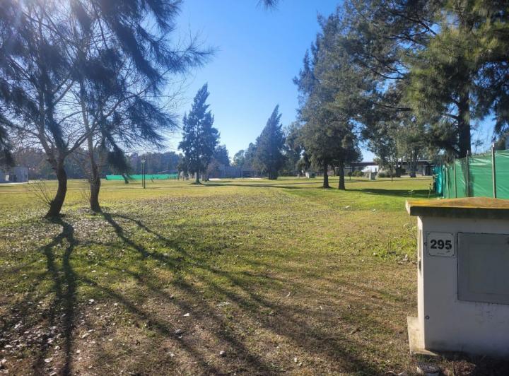 Terreno · 1371m²