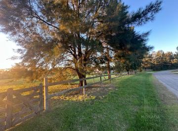 Terreno · 5005m² · Venta Lote de 5000 m². Oportunidad Única por Ubicación y por Valor de Venta.
