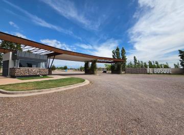 Terreno · 311m² · Terreno en Venta El Bosque Etapa I, Rodeo del Medio