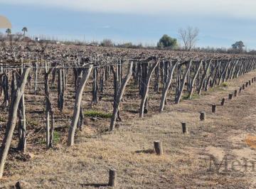 Campo · 1800000m² · Finca en 12 de Octubre
