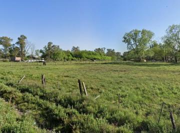 Terreno · 5000m² · Terreno Baldio en Venta en Virey del Pino