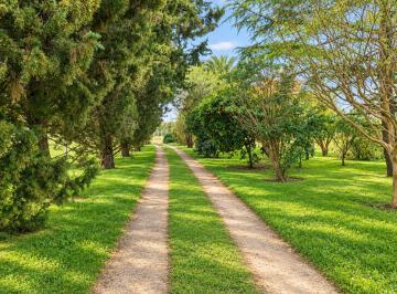 Campo · 37000ha · Chacra en Venta 3,7 Hectáreas en Virrey del Pino