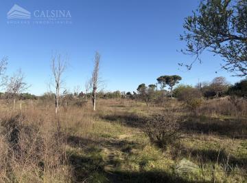 Terreno · 31097m² · Terreno en Venta Sobre Ruta E53, Unquillo