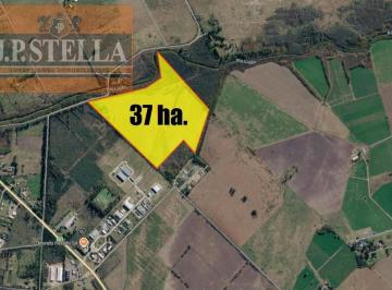 Campo · 560m² · 3 Ambientes · Campo Industrial 37 Ha con Vivienda y 2 Galpones - 560 m² Edificados - Mercedes