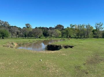 Terreno · 67600m² · Venta Lote, Zarate, Fraccionable, Retazado