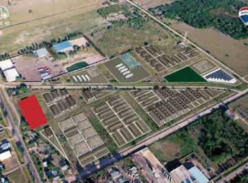 Terreno · 5181900m² · Se Venden 4 Lotes Juntos Sobre Ruta 40 S Rqta.