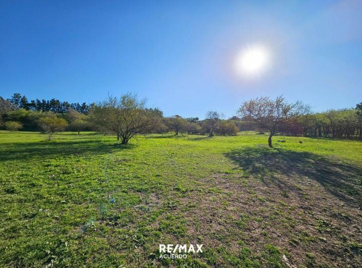 Terreno · 9103m²