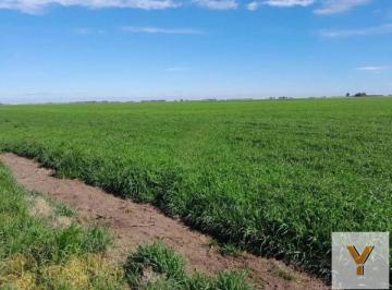 Campo · 33800000m² · Campo en Venta - m² - San Cayetano