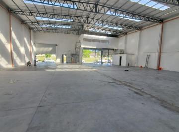 Bodega-Galpón · 660m² · Galpón - Mar del Plata