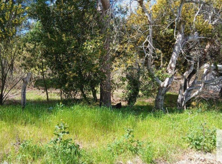 Terreno · 600m²