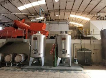 Campo · 15000ha · Bodega Venta en Funcionamiento San Martin Mendoza