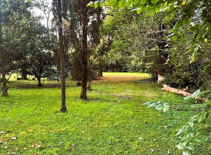 Terreno · 1123m²