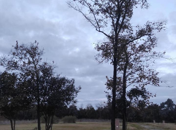 Terreno · 800m²