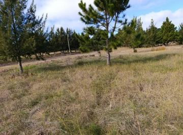 Terreno · 1000m² · Venta Lote 1000 m Costa del Este