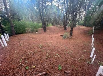 Terreno · 394m² · Lote Cerca del Mar Venta Costa del Este