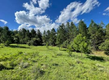 Terreno · 30320m² · Se Vende Lote 3 Ha Villa Berna