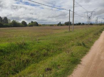 Campo · 2ha · Campo de 2 Hás Sobre Ruta 75